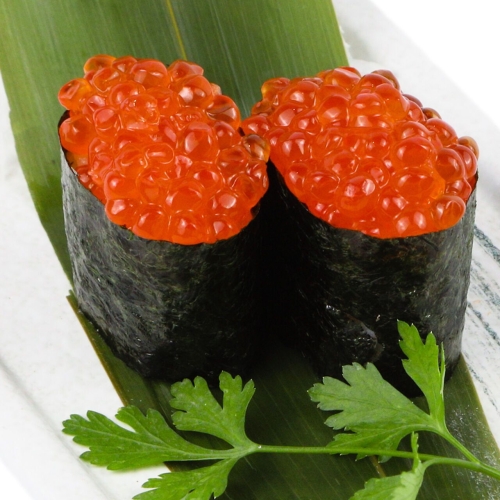 50 GUNKAN IKURA 50 GUNKAN IKURA